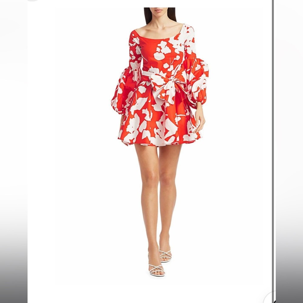 Caroline Constas Dress